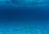 Cabo submarino da Meta no Brasil será ampliado, anuncia empresa