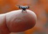 Drones-inseto com IA ganham espaço no campo e na guerra