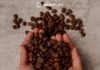 Sindplay lança curso científico sobre cafeína para profissionais de TI