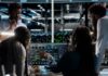 Empresas brasileiras de software temem efeitos indiretos do tarifaço dos EUA