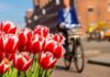 Semana de 4 dias se consolida na Holanda, que vira exemplo