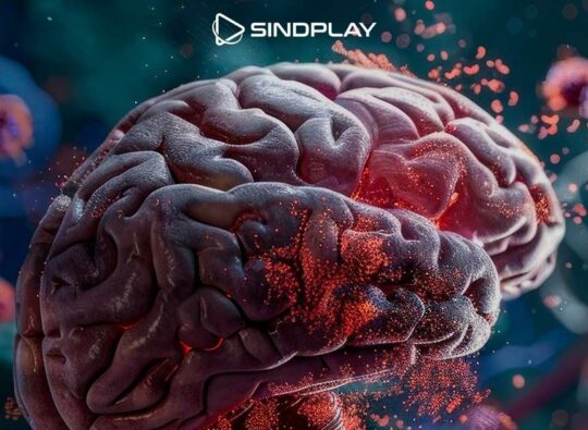 Entenda o funcionamento do cérebro em novo curso do Sindplay