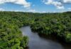 Governo colombiano vai instalar rede de fibra óptica na Amazônia
