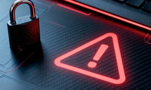 Mais da metade dos brasileiros foi vítima de golpes online em 2024