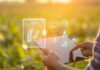 Digitalização do agro acelera, mas deixa infraestrutura rural vulnerável a ataques cibernéticos