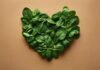Folha de espinafre vira base para coração humano produzido em laboratório