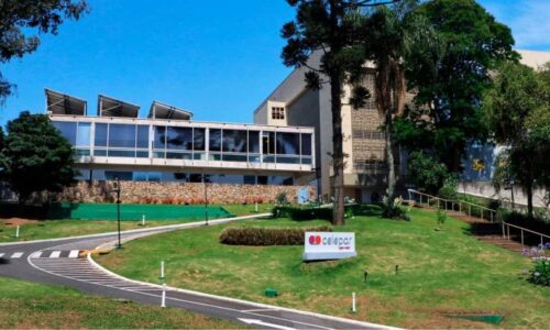 STF barra privatização de estatal de TI por risco à proteção de dados