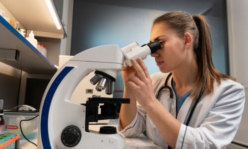 Centrais sindicais apoiam projeto que inclui bolsistas na Previdência