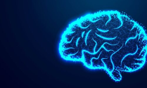 IA inspirada no cérebro humano aprende a ‘pensar duas vezes’ antes de errar