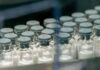 Anvisa autoriza produção nacional da vacina contra chikungunya