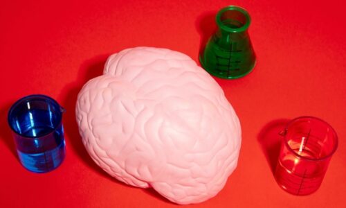 Técnica inspirada em mecanismos naturais pode abrir caminho para nova proteção cerebral durante AVC