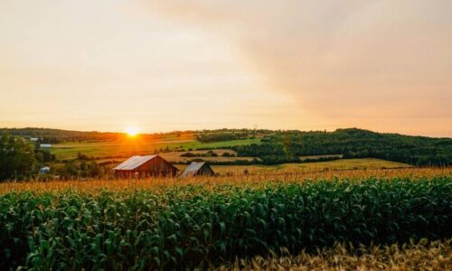Agricultor barra projeto de data center de IA ao preservar terras agrícolas para sempre