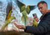 Plataforma aposta na lentidão e envia mensagens no ritmo da natureza
