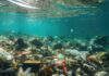 IA mapeia lixo plástico nos oceanos e revela onde estão as maiores concentrações