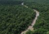 Brasil reforça combate ao garimpo ilegal na Amazônia com tecnologia forense