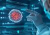 Pesquisadores criam tecnologia capaz de destruir DNA de células cancerígenas