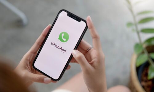Você deveria apagar os contatos antigos do WhatsApp; entenda por que