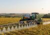 IA otimiza uso de defensivos e aumenta precisão no agronegócio