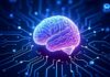 IA converte atividade cerebral em texto sem uso de implantes