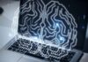 Neurônios cultivados em laboratório são usados em protótipo de computador