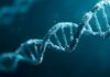 Pesquisa usa IA para desvendar como células decidem quando ativar genes