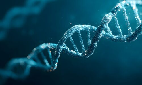 Pesquisa usa IA para desvendar como células decidem quando ativar genes