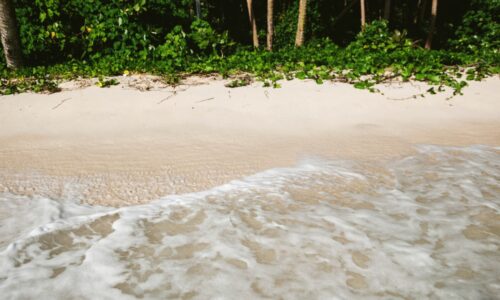 Projeto usa IA para conter erosão e recuperar praias nas Maldivas